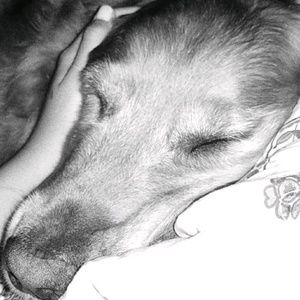 Meet your Posher, Juliette